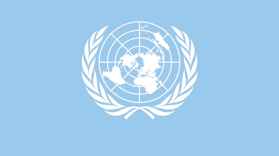 L\'ONU spiegato in 3 minuti