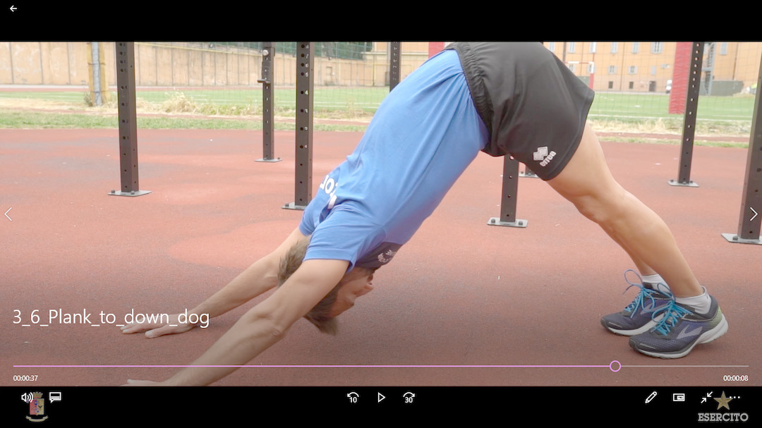 6. Plank to down dog