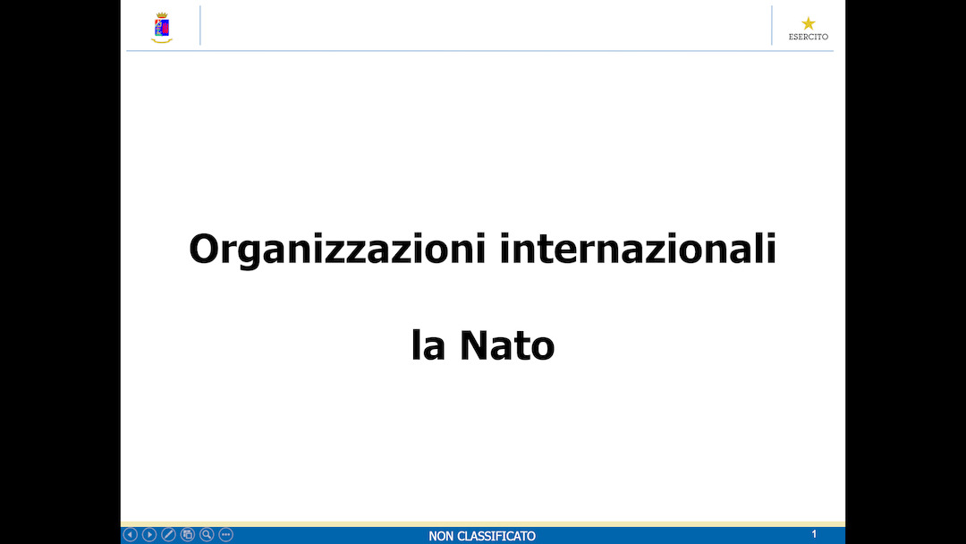 organizzazioni internazionali la Nato