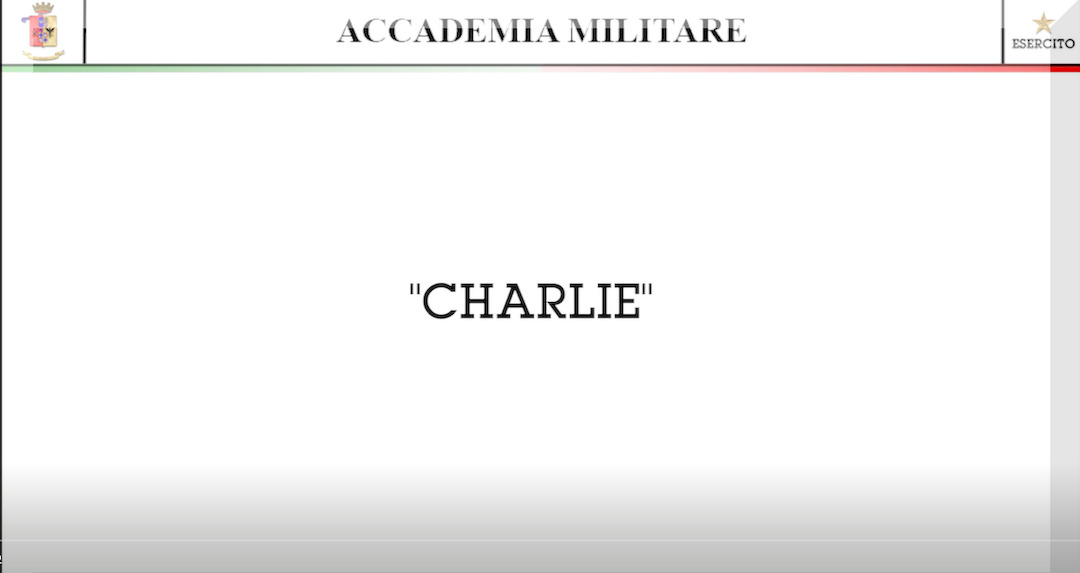 2_4_Video_Alfa
